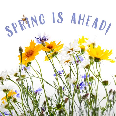 Spring has finally arrived and .